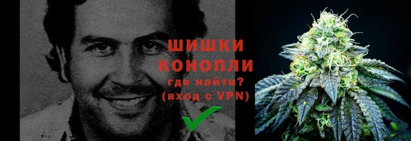 PSILOCYBIN Армянск